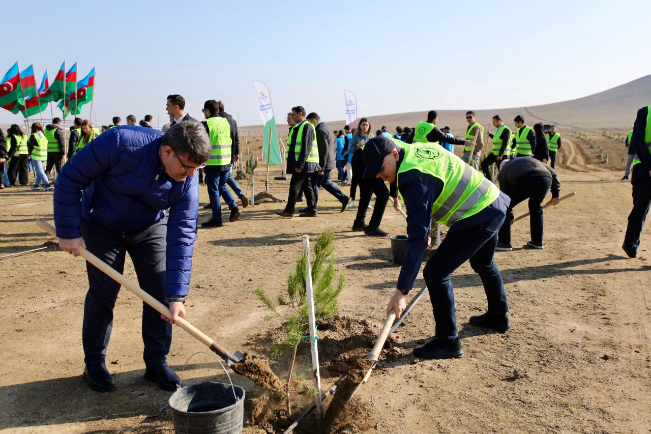 Zəfər Günü ilə əlaqədar ağacəkmə aksiyası keçirildi - FOTOLAR
